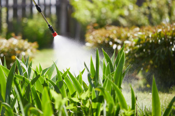 Tamper-Resistant Bait Stations for Rodents in Orosi