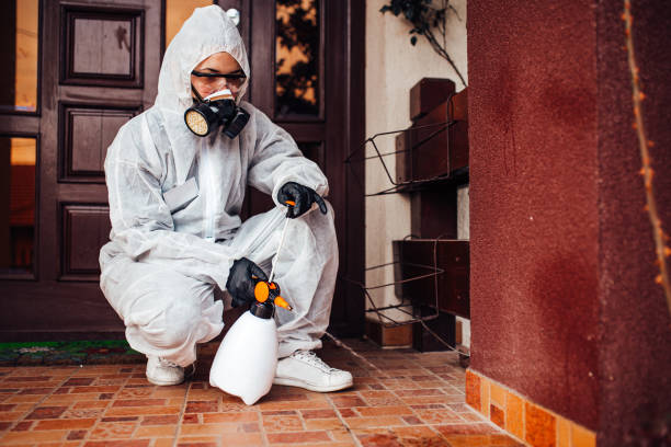 Attic and Crawl Space Rodent Treatment in Orosi