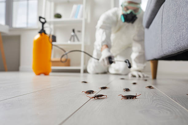 Commercial Rodent Management in Orosi